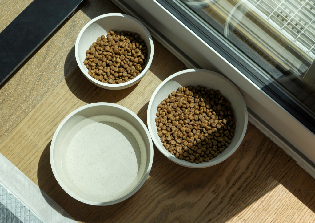 Gamelles de nourriture pour chat avec de l'eau et des croquettes
